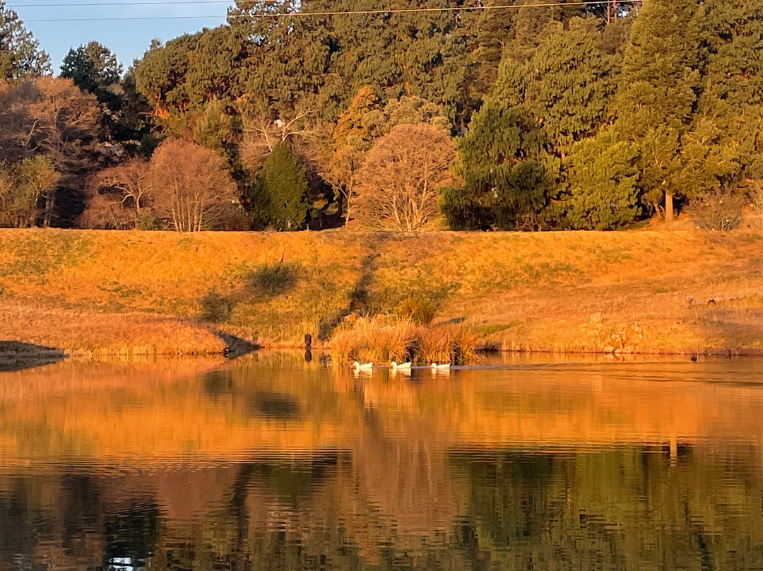 Midlands Meander-夸祖鲁-纳托尔省必去景点