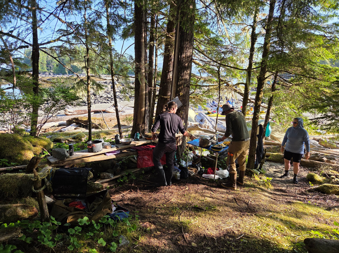 Kingfisher Wilderness Adventures-Port McNeill必去景点