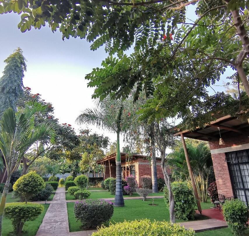 Motto Cottages