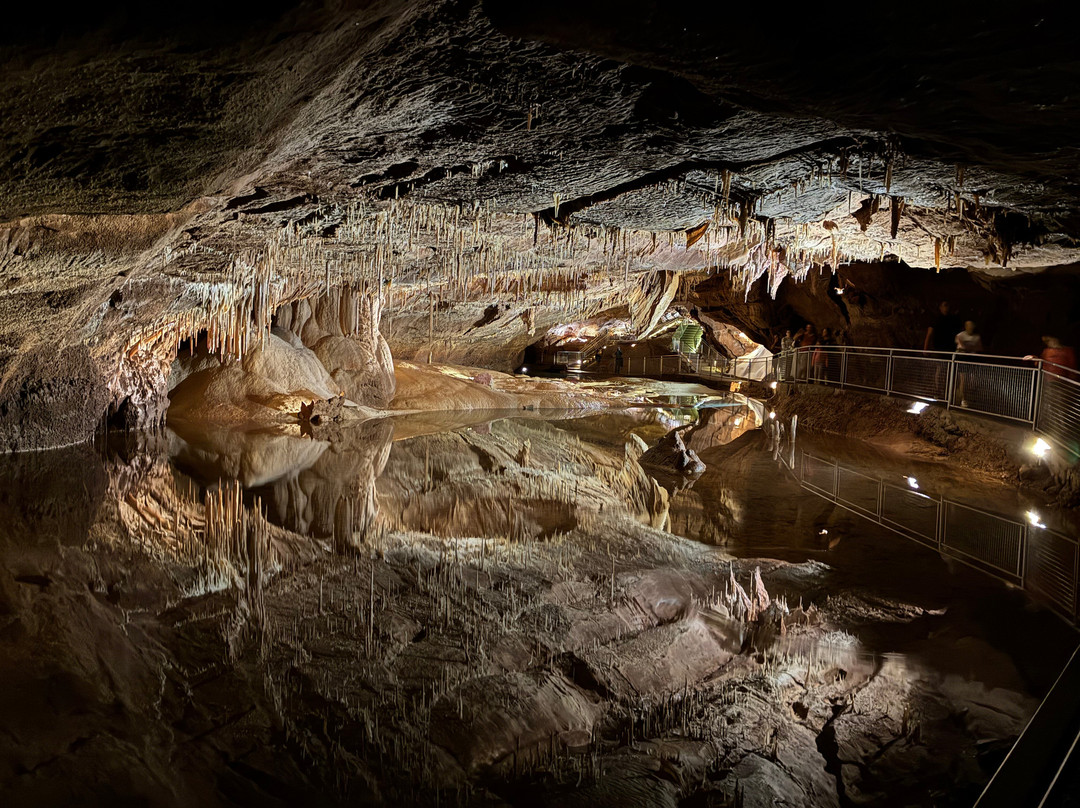 Grottes de Lacave-Lacave必去景点