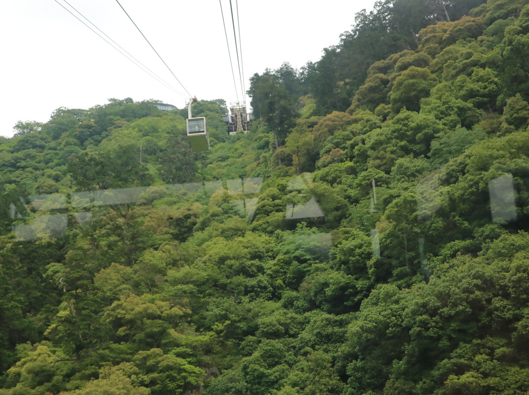 Mt. Kinka Ropeway-岐阜市必去景点