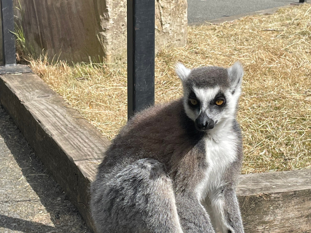 Ponderosa Zoo-Heckmondwike必去景点