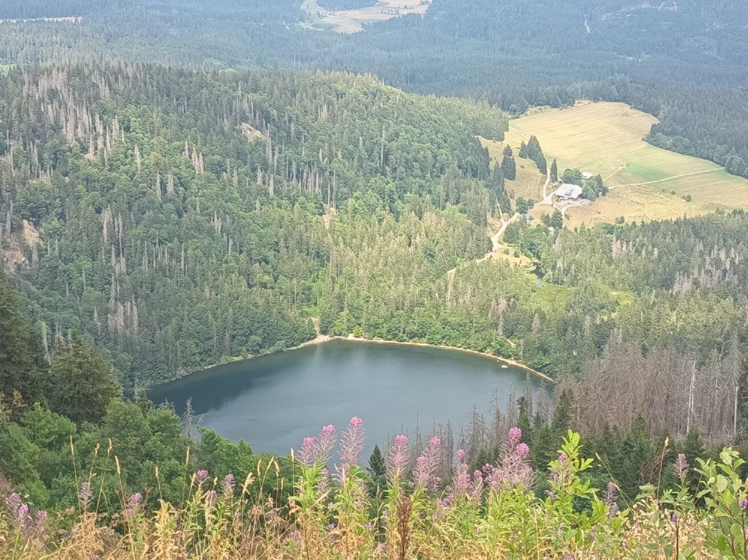 Feldbergbahn-菲尔德山必去景点