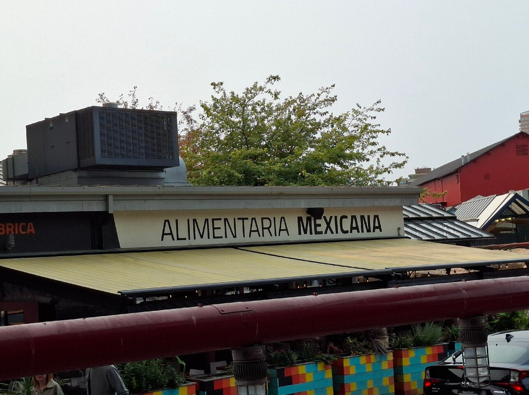 Alimentaria Mexicana Foods
