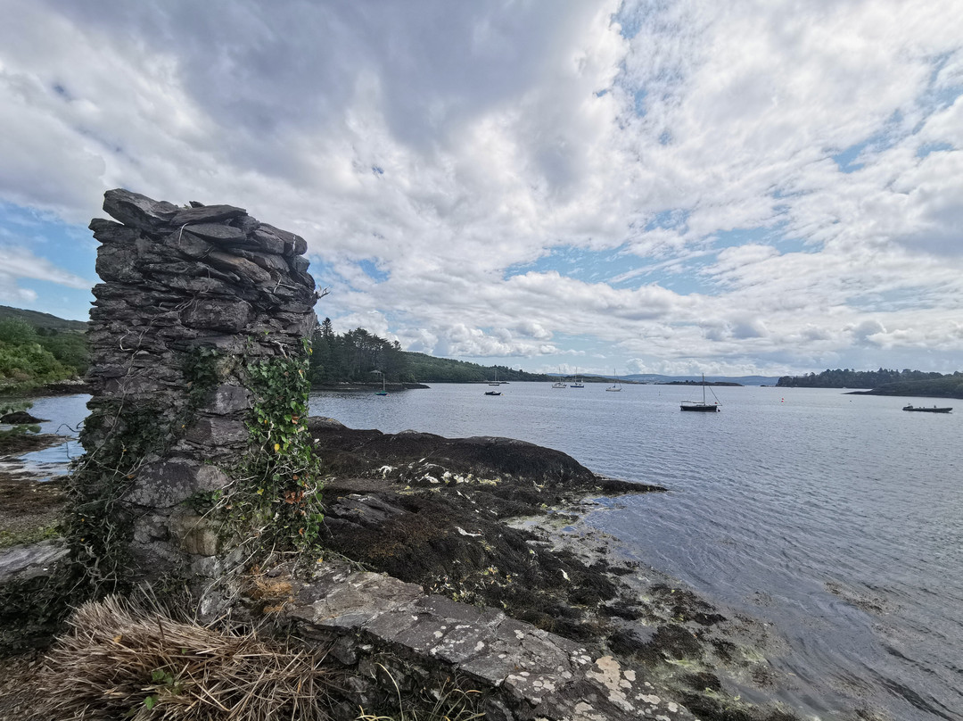 Glengarriff Bamboo Park-Glengarriff必去景点