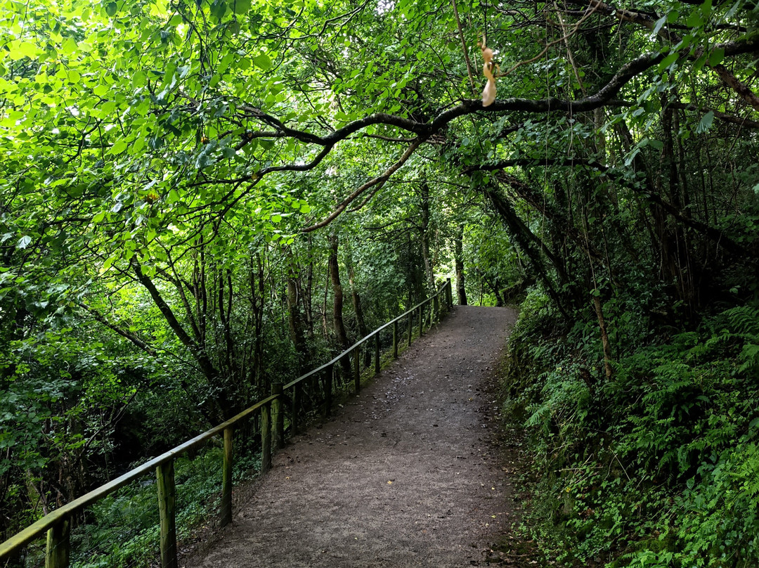 Lurgybrack Open Farm-County Donegal必去景点