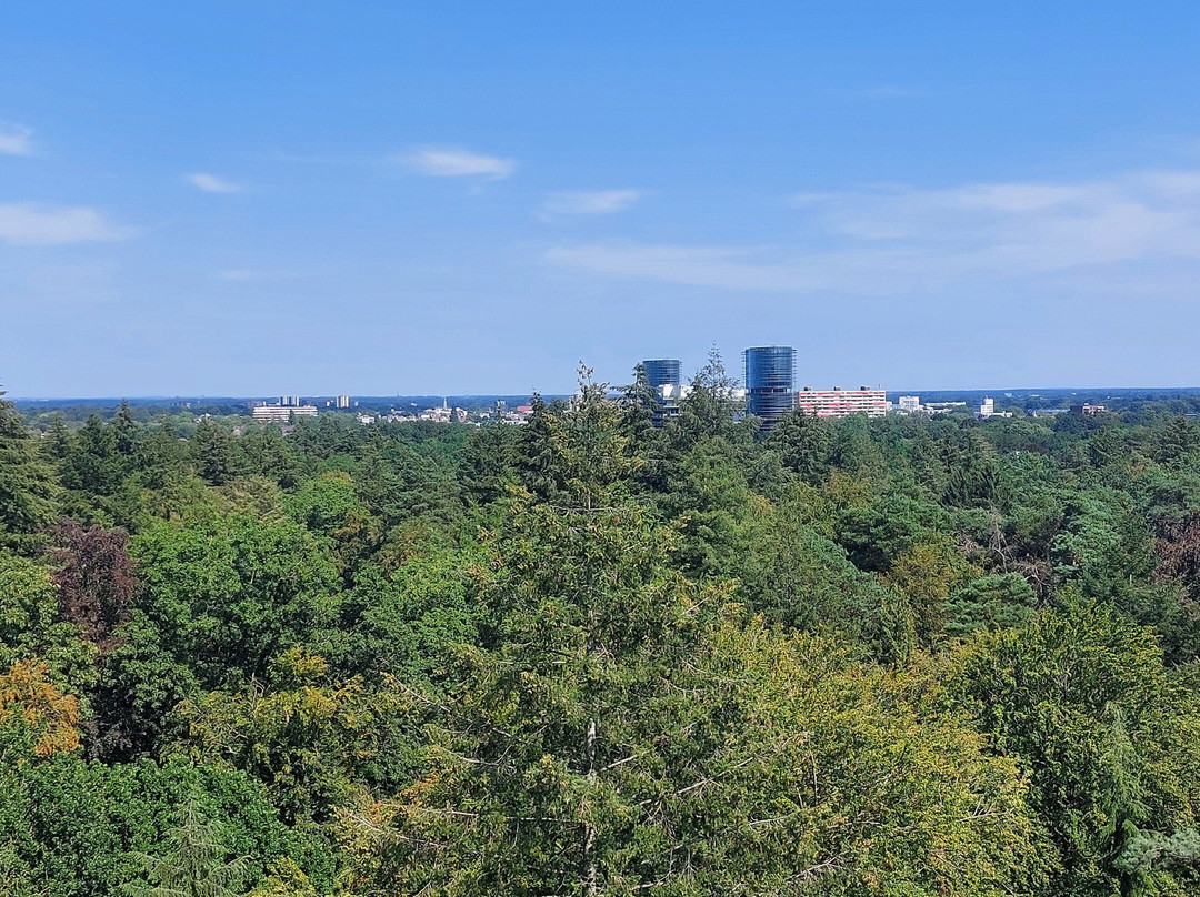 Park Berg en Bos-阿珀尔多伦必去景点