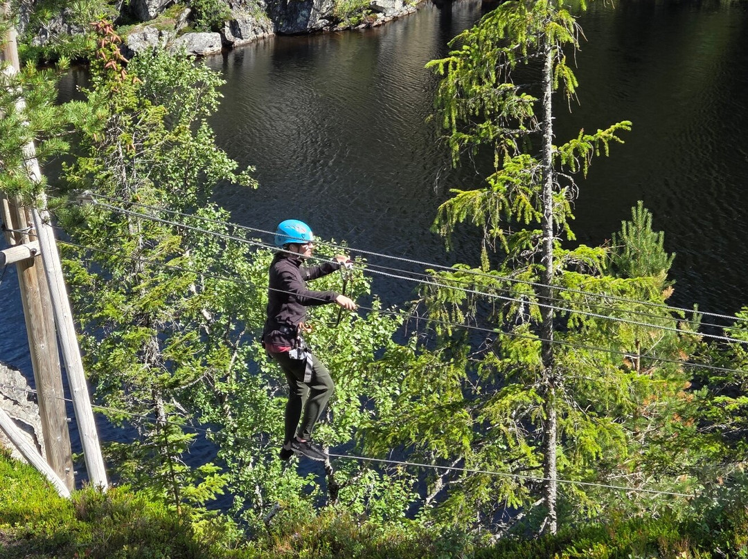 Rypetoppen Adventurepark-Meraker Municipality必去景点
