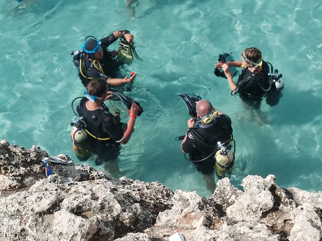 Acqua Life Dive Center-Calas de Majorca必去景点