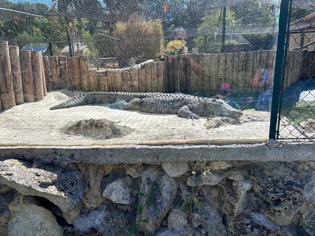 Zoo du Bois d'Attilly-Ferolles-Attilly必去景点