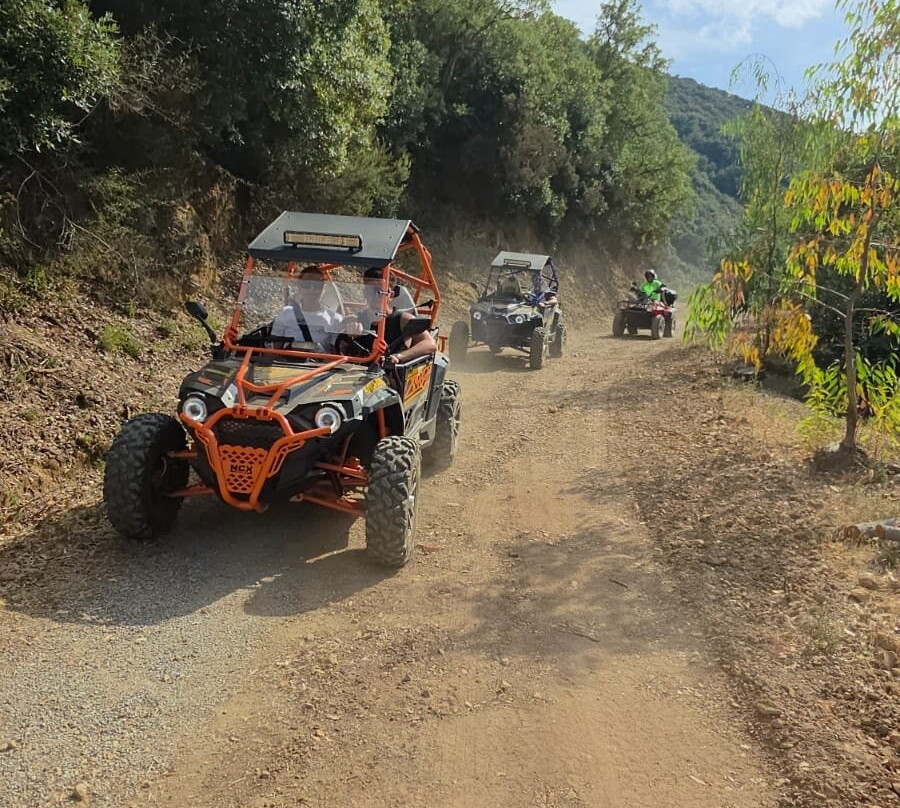 The Island of Wonders | Sicily and Etna Excursions-Randazzo必去景点