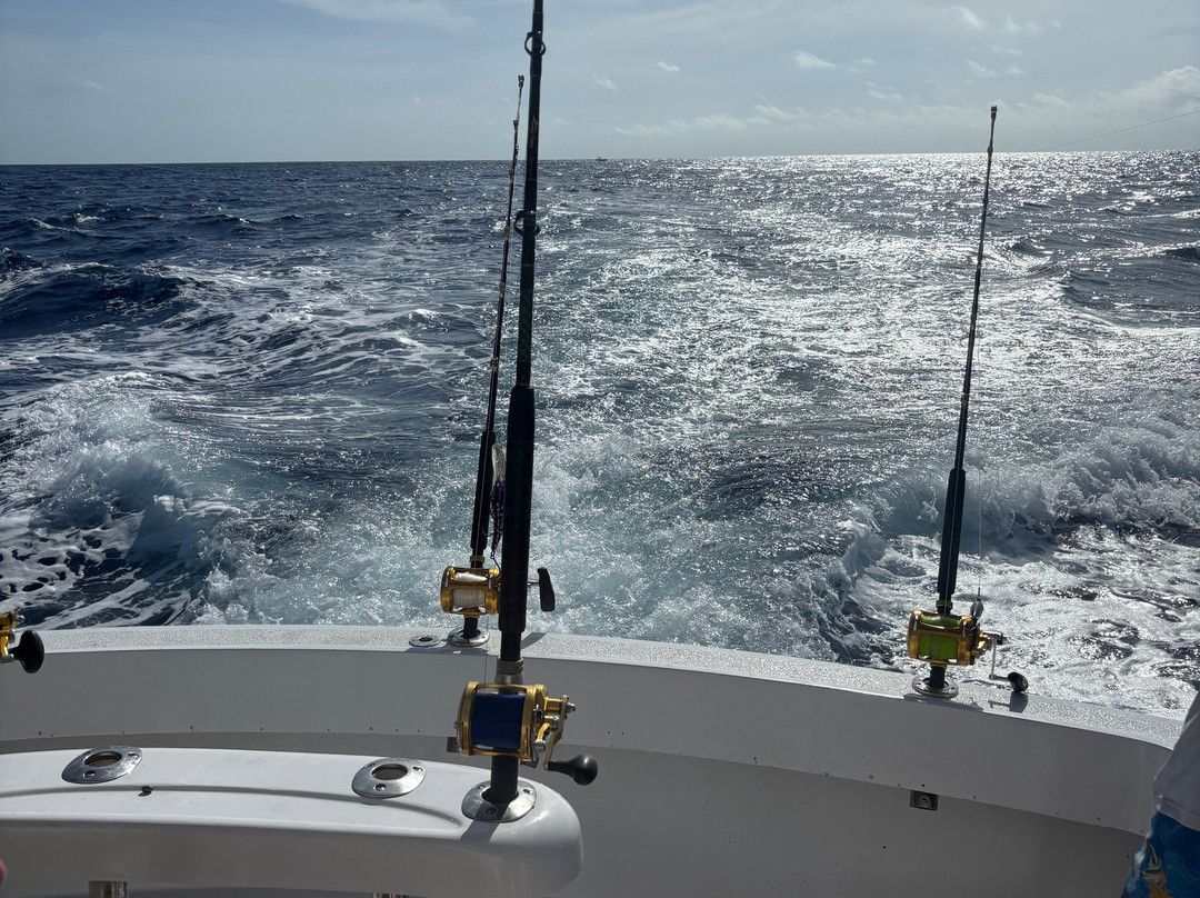 Hennessy Sportfishing-马拉松必去景点