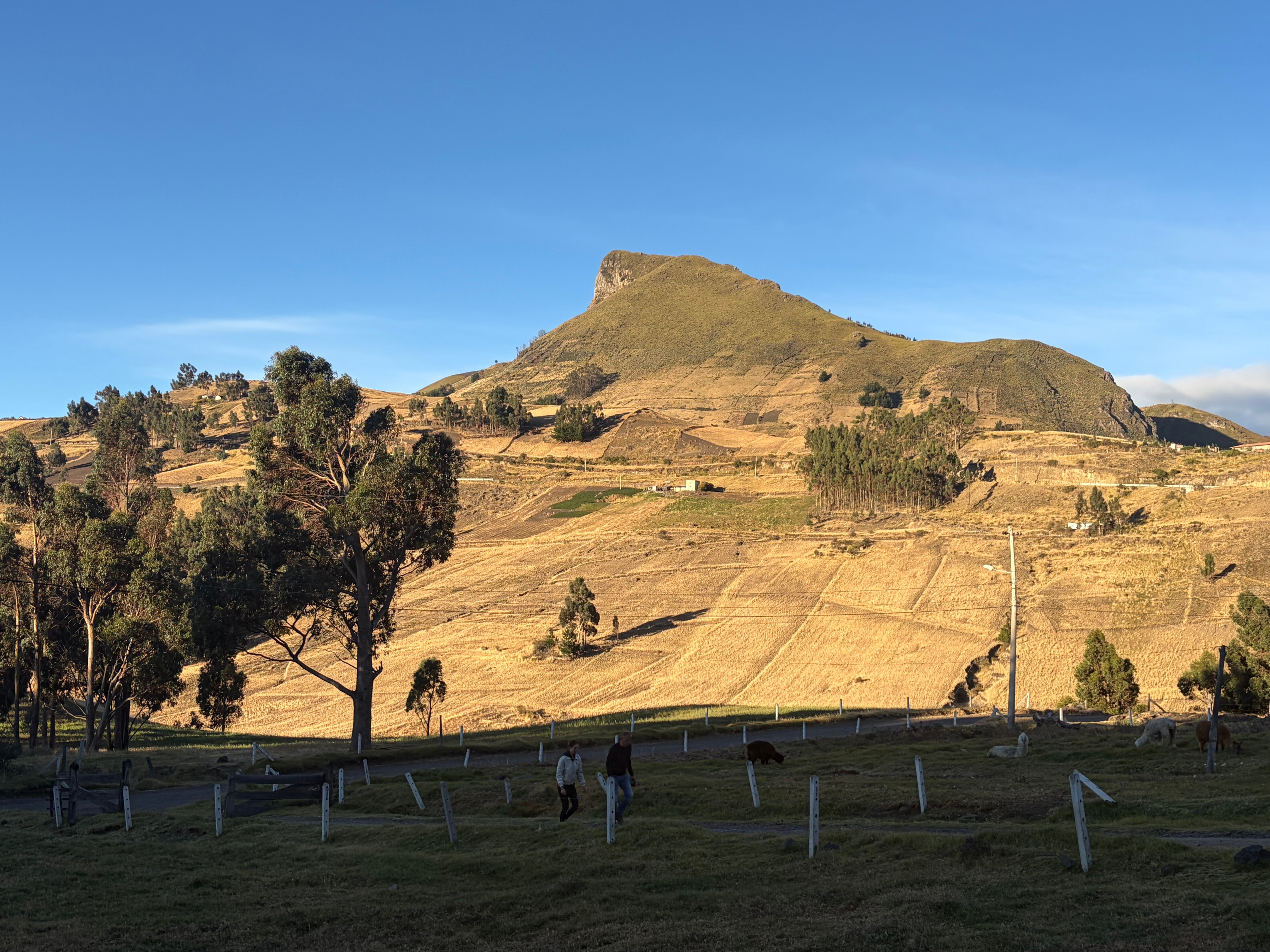 Posada De Tigua-旅行者