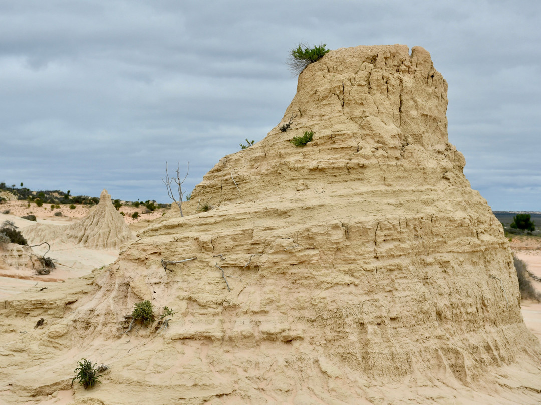 Discover Mildura - Day Tours-米尔杜拉必去景点