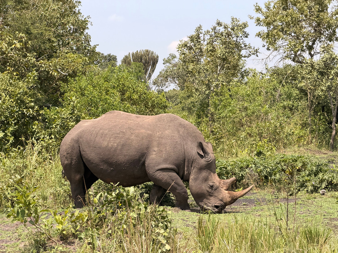 Africa Reveal Safaris-Namugongo必去景点