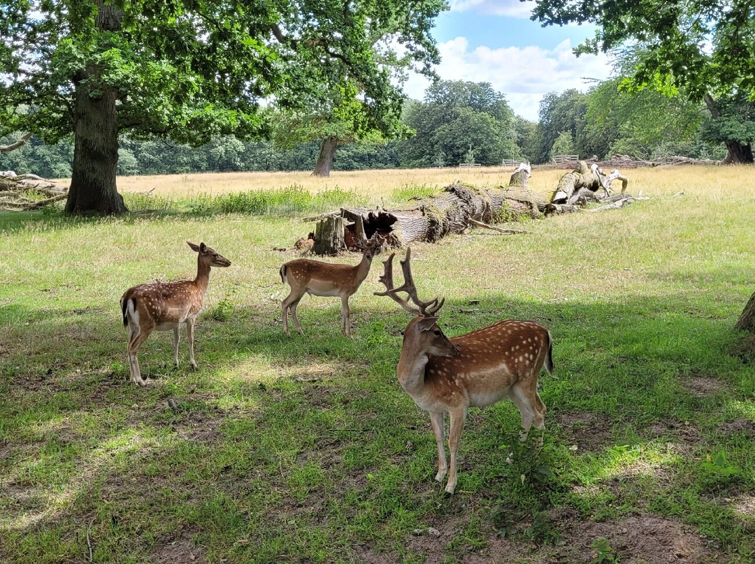 Schlosspark von Putbus-Putbus必去景点