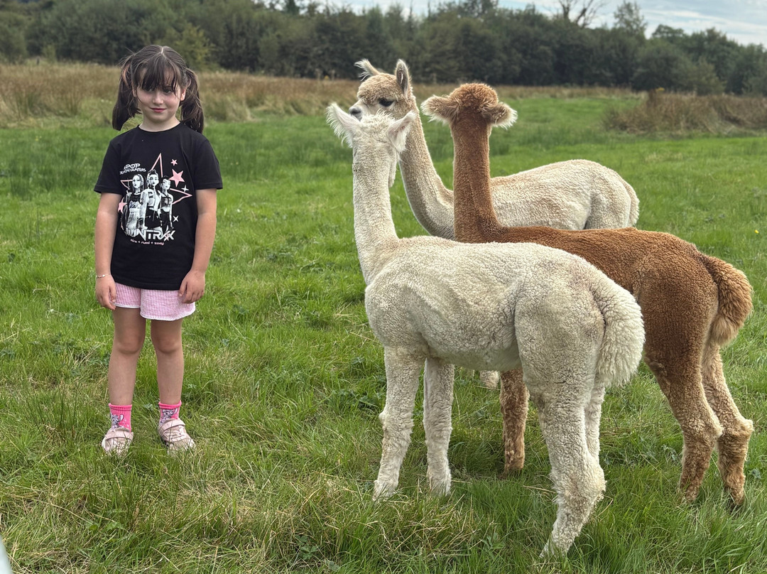 Robin Cottage Farm