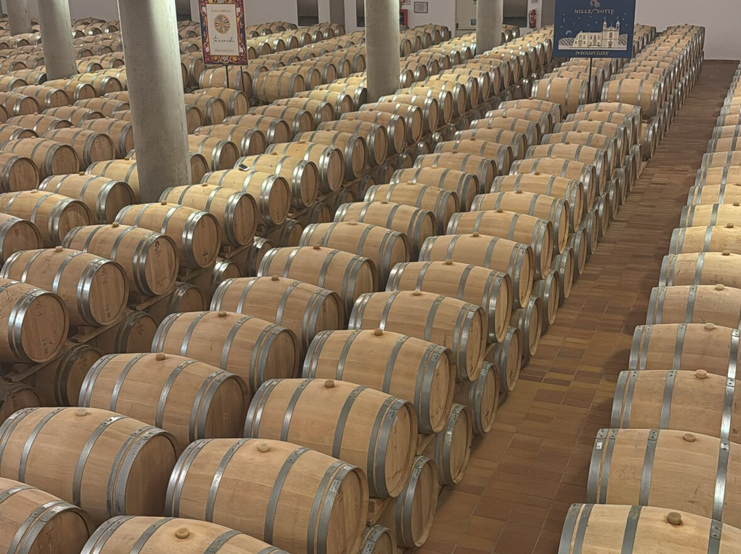 Donnafugata-马尔萨拉必去景点