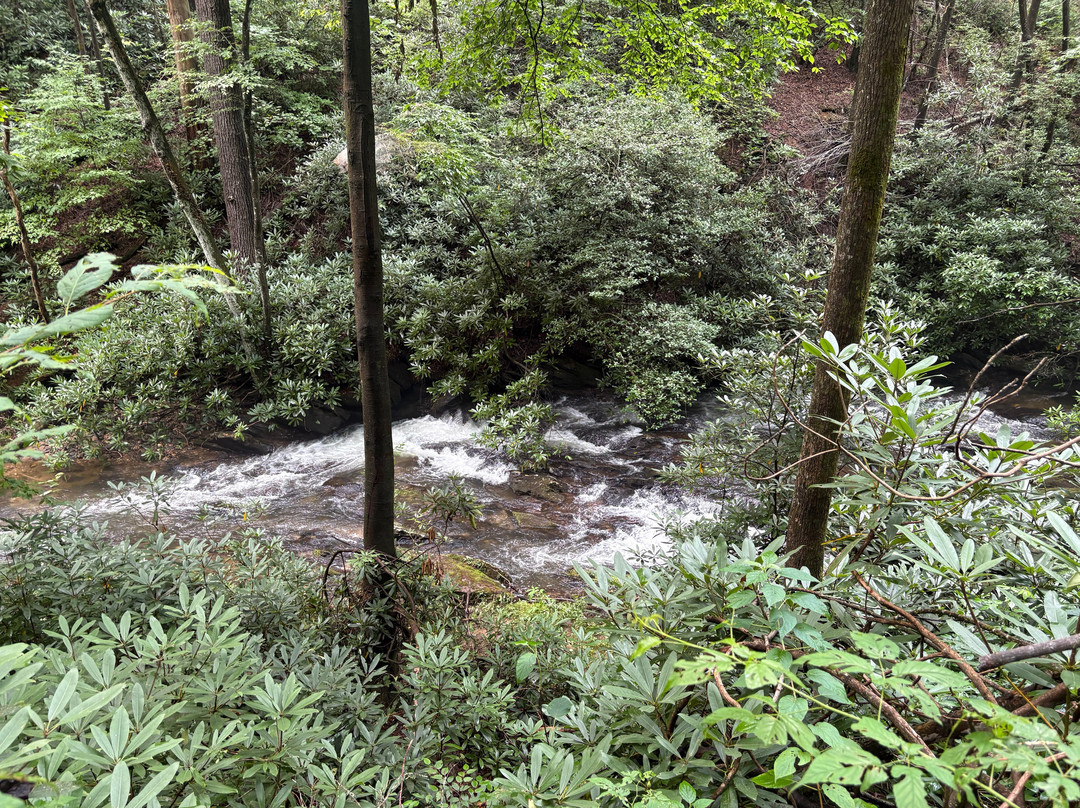 Dukes Creek Falls Trail-海伦必去景点