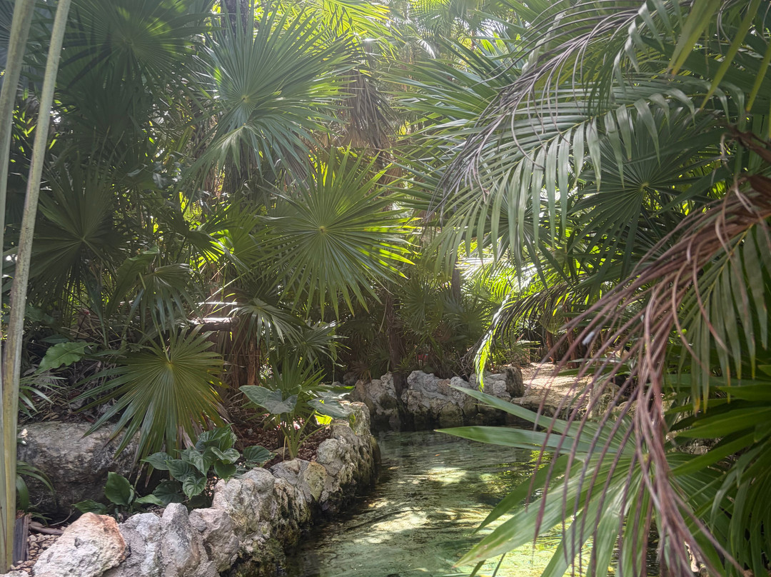 Vive Mayan Tours-普拉亚德尔卡曼必去景点