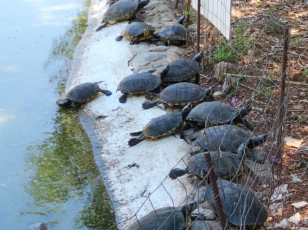 Bioparco Di Sicilia-Carini必去景点