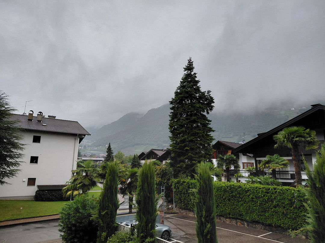 Alia Appartements & Wellness主图