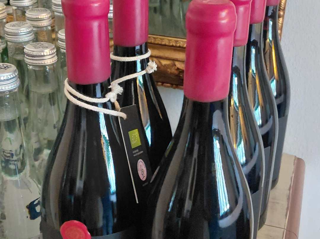 Winery Petra-Palic必去景点