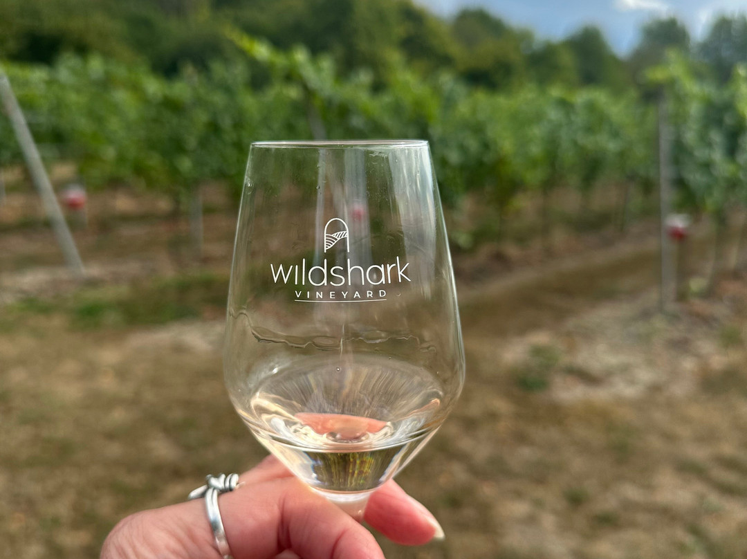 Wildshark Vineyard-Harrietsham必去景点