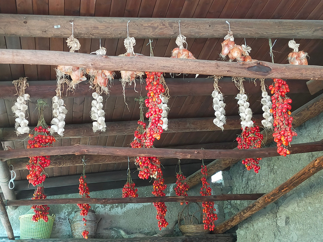 Miscillo Sapori