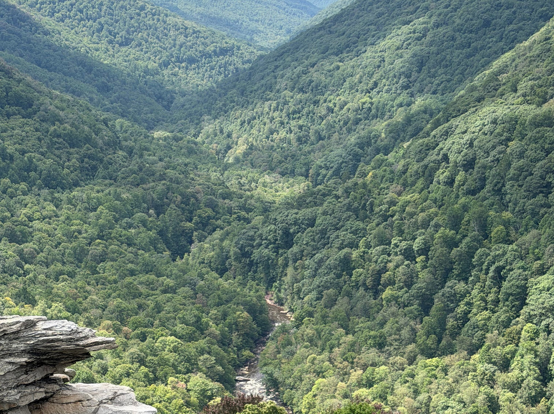 Blackwater Falls State Park-戴维斯必去景点