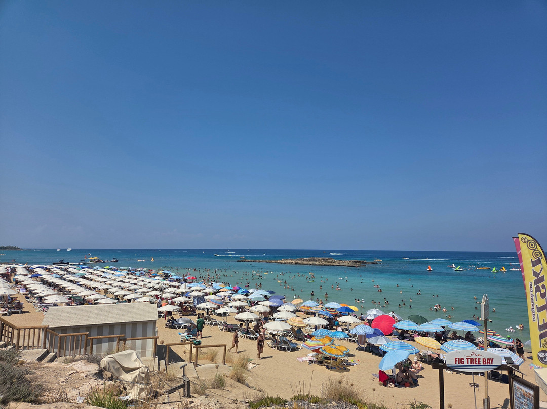 Fig Tree Bay Beach-普它肋斯必去景点