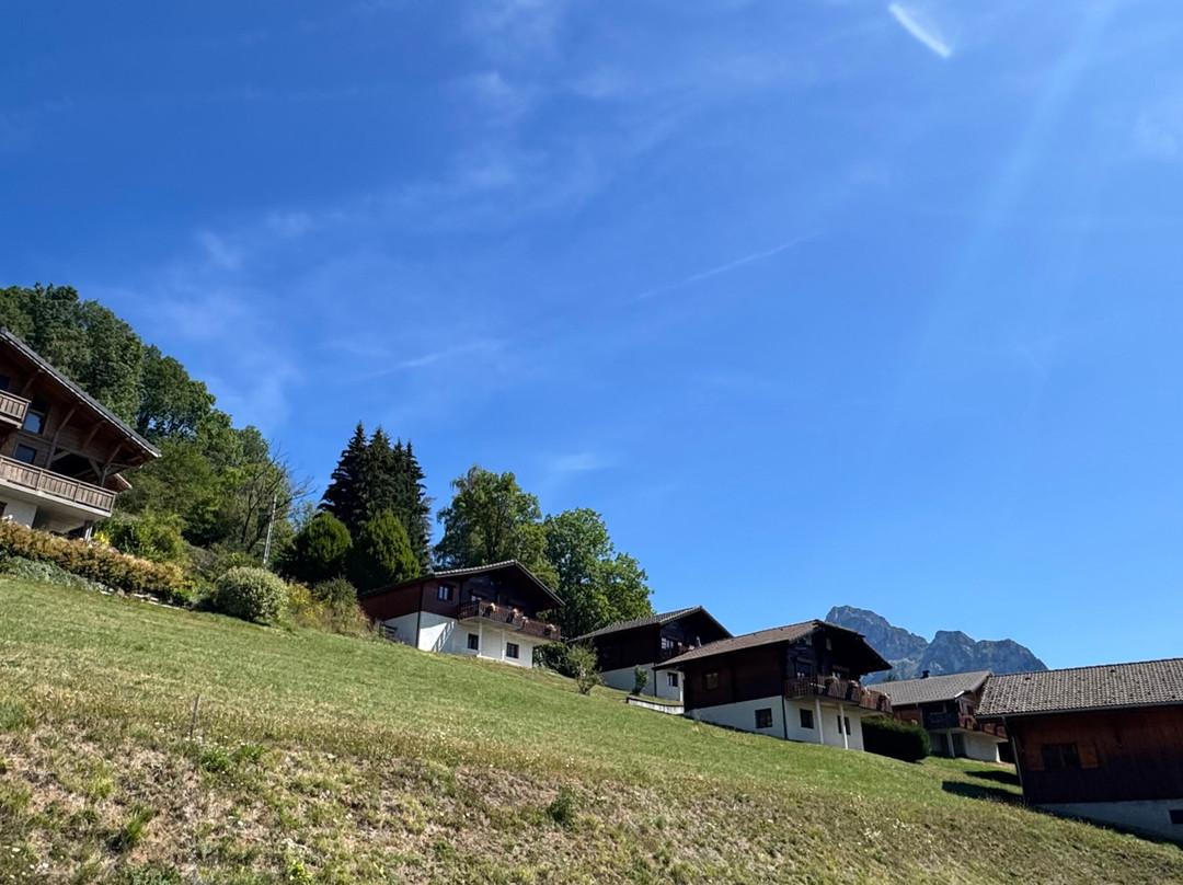 Chalet Titlis主图