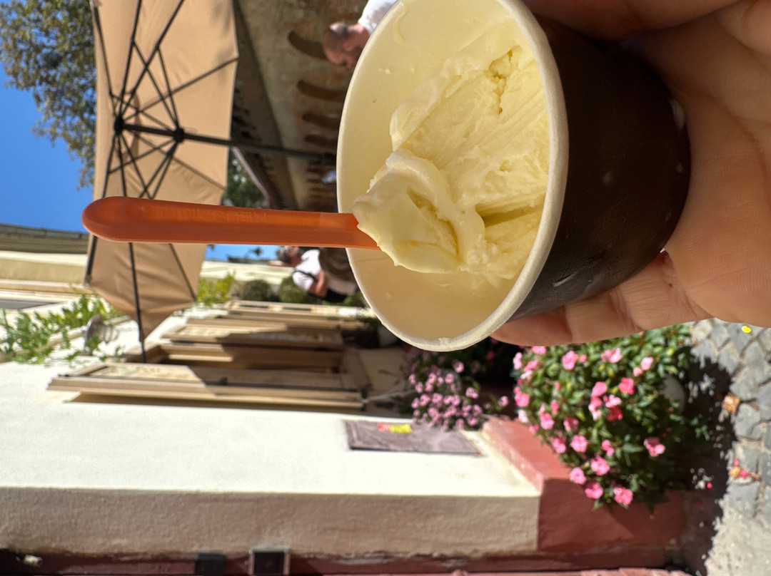 Gelateria NESSA