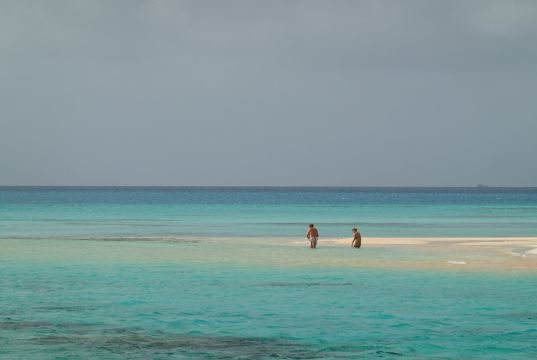 提克豪-珍珠度假村-旅行者