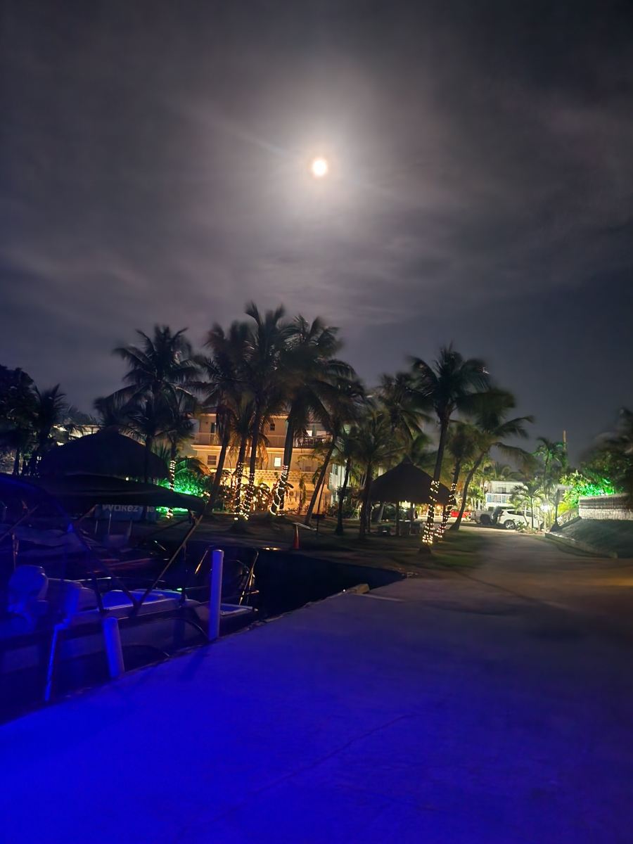 海湾景观水上度假村-旅行者