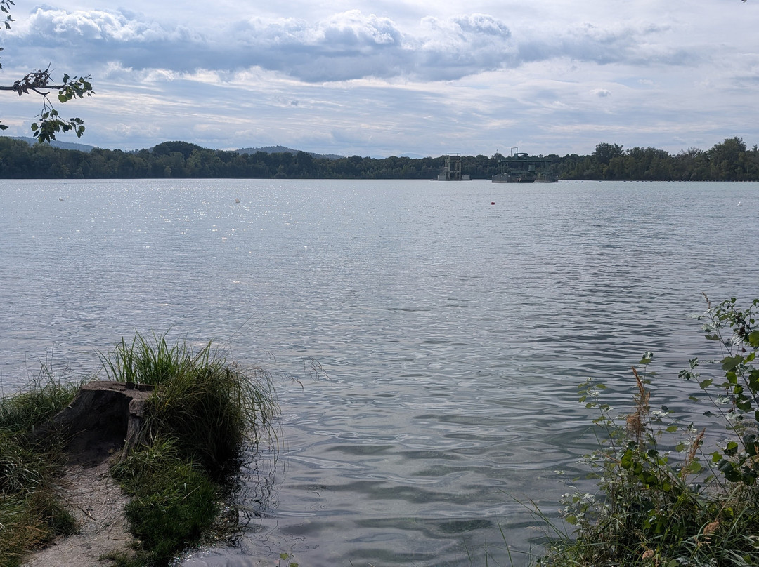 Breisacher Fahrradverleih-Breisach am Rhein必去景点