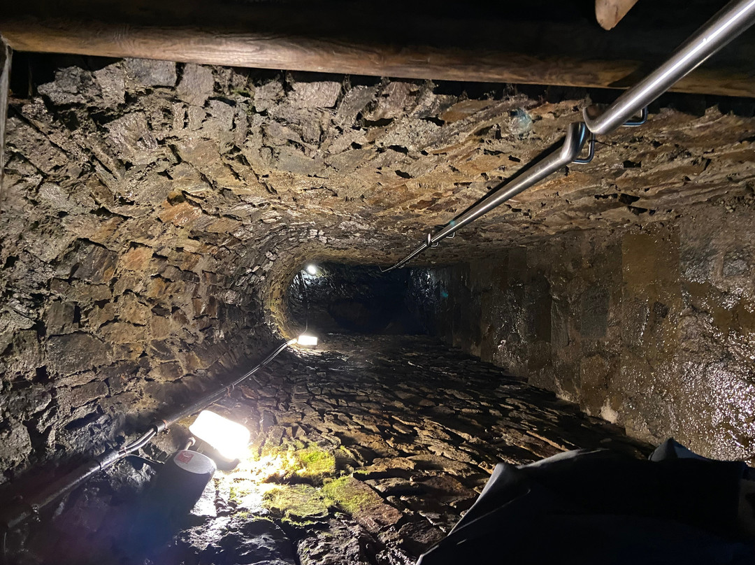 Ore Mountain Museum Erzgebirgsmuseum mit Silberbergwerk Im Goßner-Annaberg-Buchholz必去景点