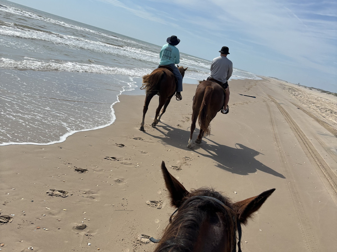 South Padre Island Adventure Park-南帕诸岛必去景点