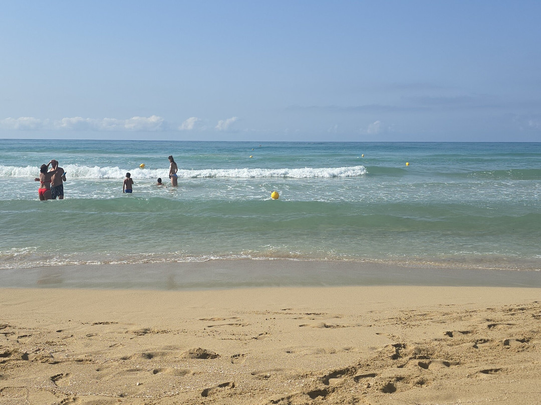 Costa del Salento - Cdshotels主图