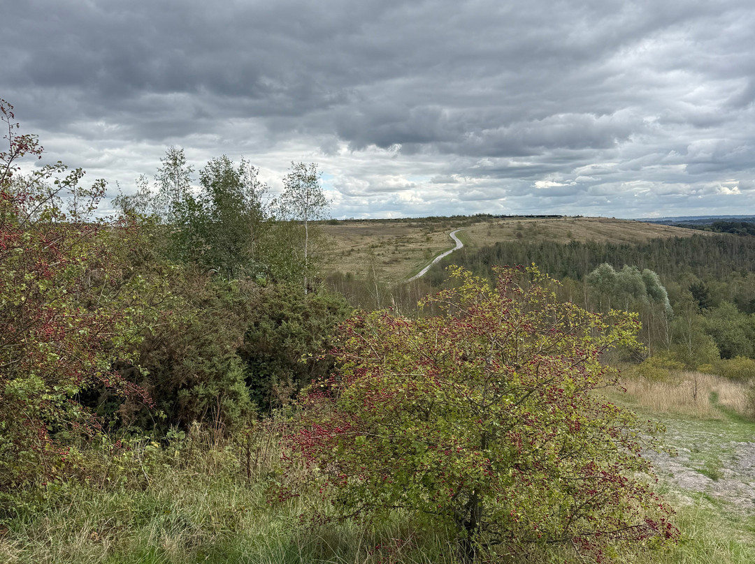 Gedling Country Park-Arnold必去景点
