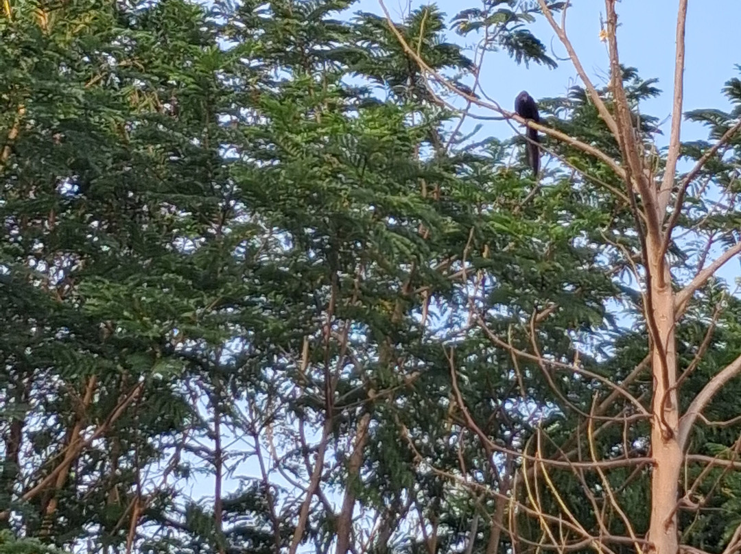 Pench Tiger Reserve-Kohka必去景点