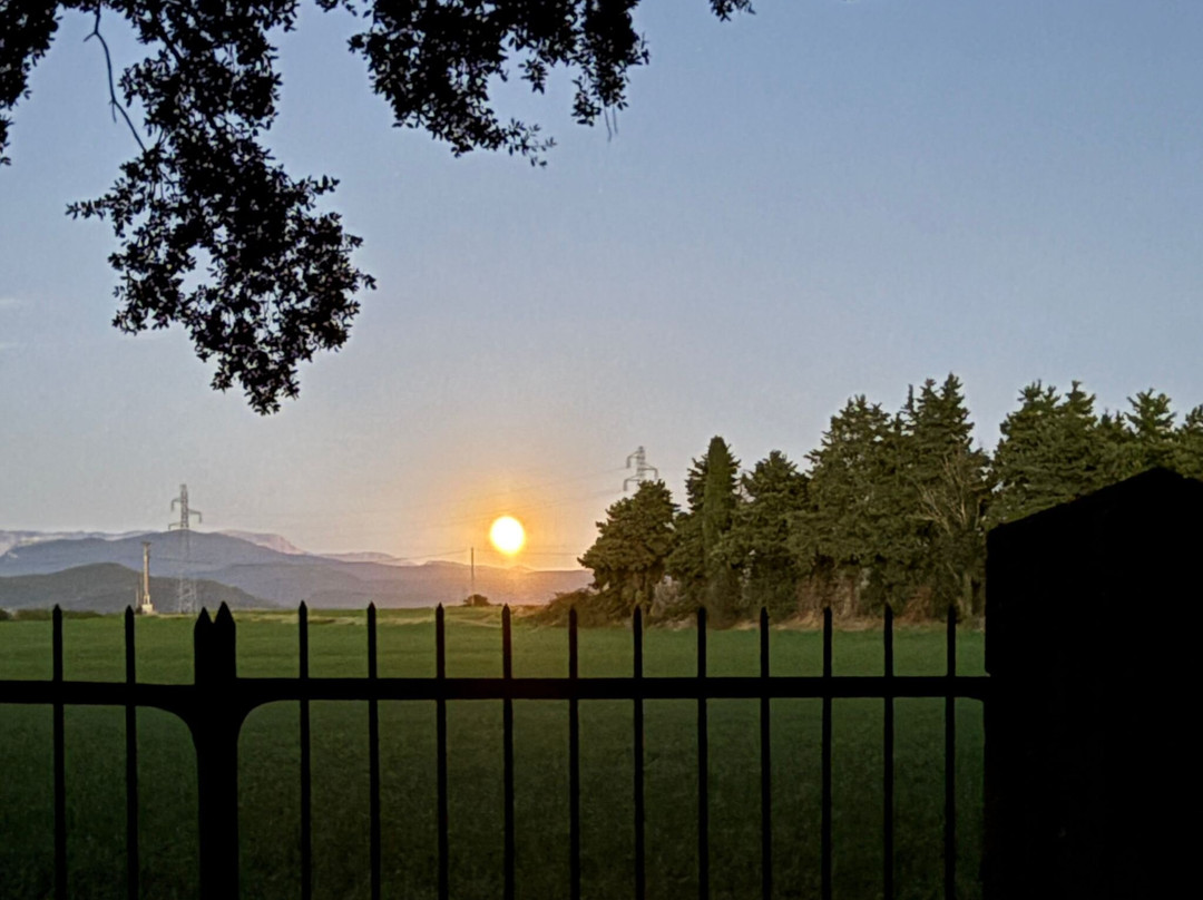 Le Domaine de Vincenti