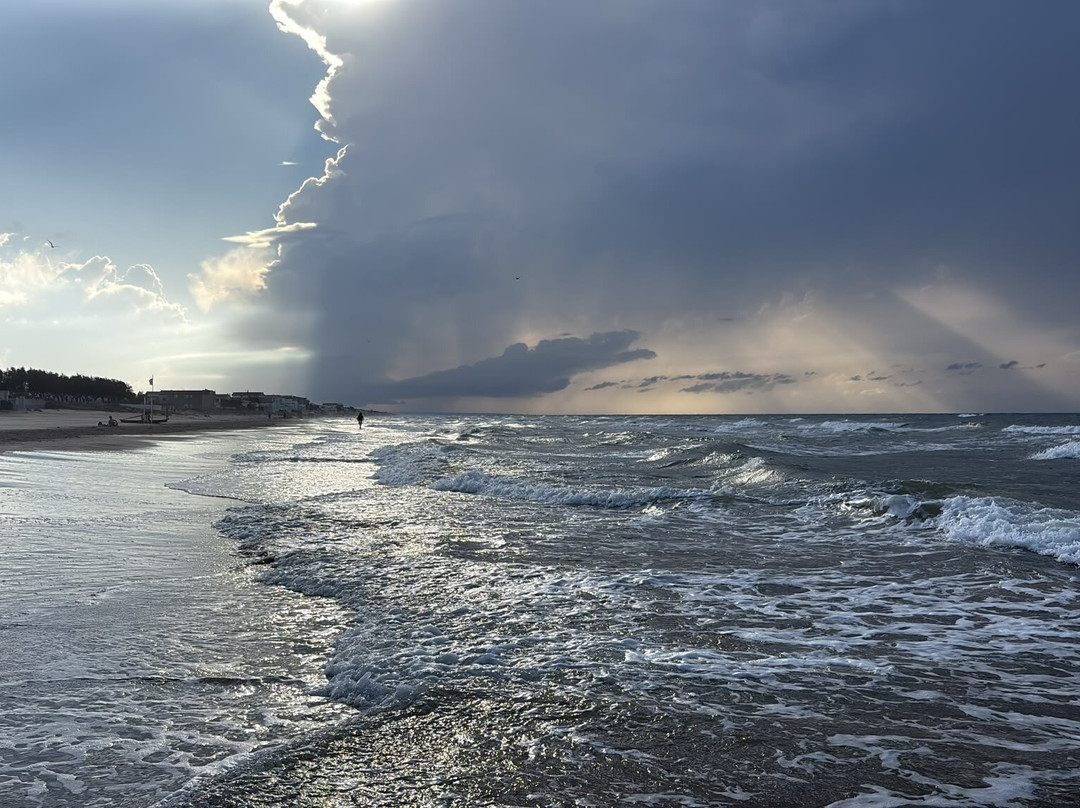Spiaggia di Torre Mileto-San Nicandro Garganico必去景点