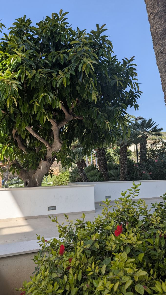 观景楼BQ酒店-旅行者