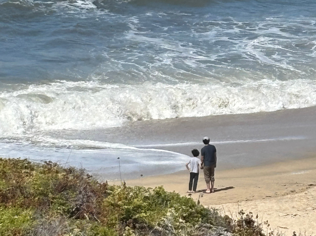 Half Moon Bay Coastside Trail-半月湾必去景点