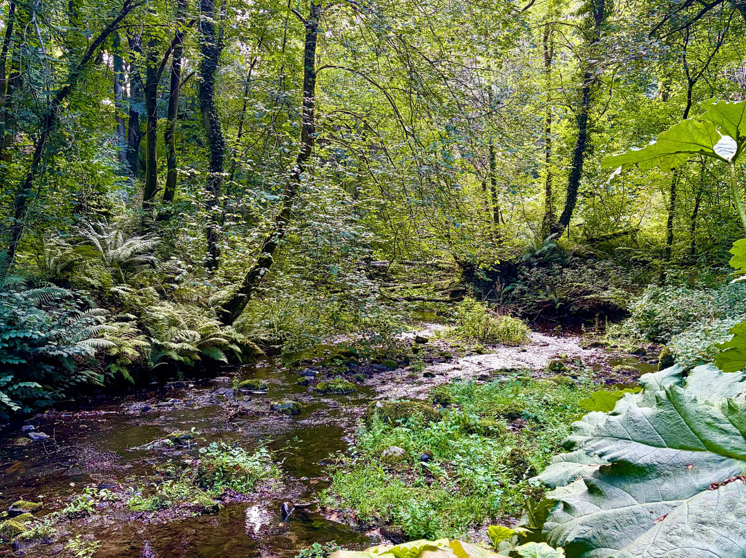 Plas Cadnant Hidden Gardens-Menai Bridge必去景点