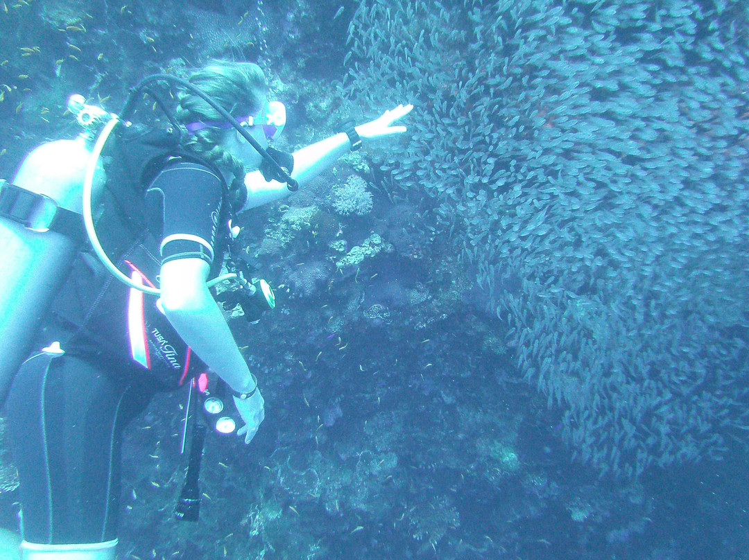 Black Rock Dive Centre-达哈卜必去景点