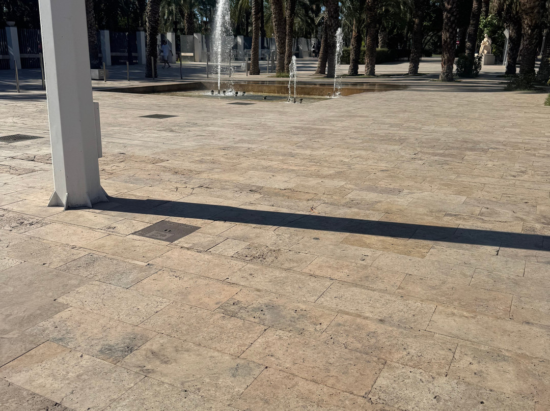 Palmeral of Elche-埃尔切必去景点