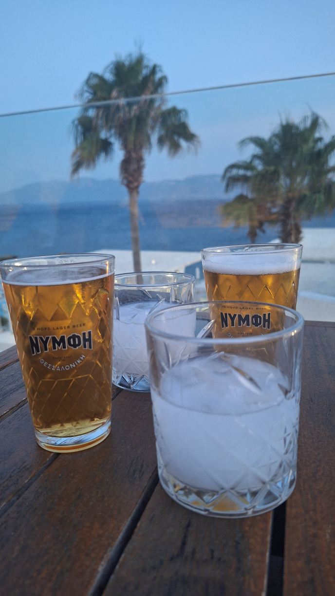 迪米特拉海滩套房酒店-旅行者
