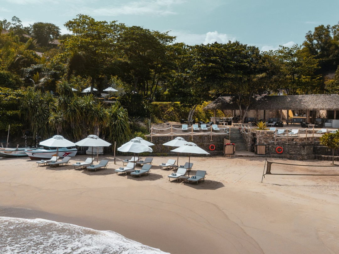The Cove